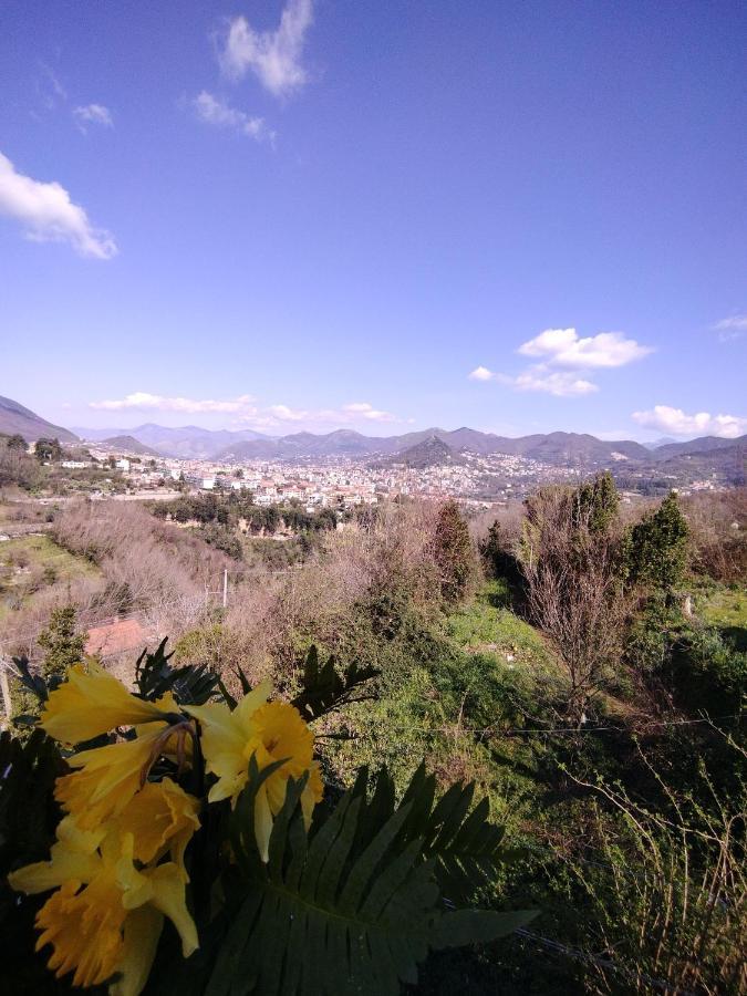 Il Casadduoglio 31 Apartment Vietri Bagian luar foto